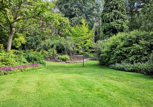 Optimiser l'expérience du jardin à Dornes