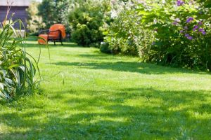 travaux jardin et paysage Dornes